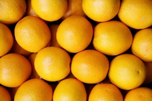 橙子不上火吗 3427713_1200x1000_0.jpg