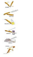 点击查看第1张图片
