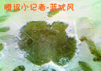 点击浏览大图