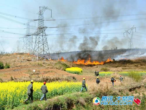 湖北省电力公司防山火服务于民 基层员工勇当