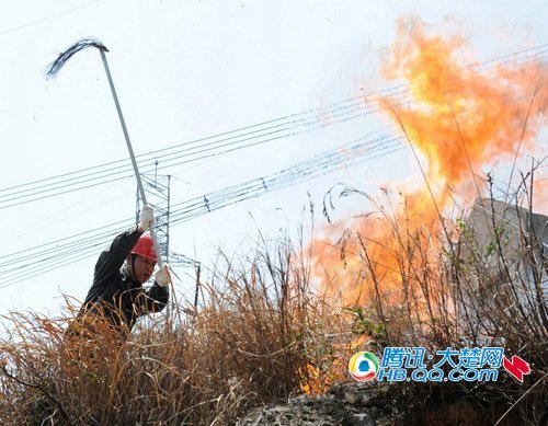湖北省电力公司防山火服务于民 基层员工勇当