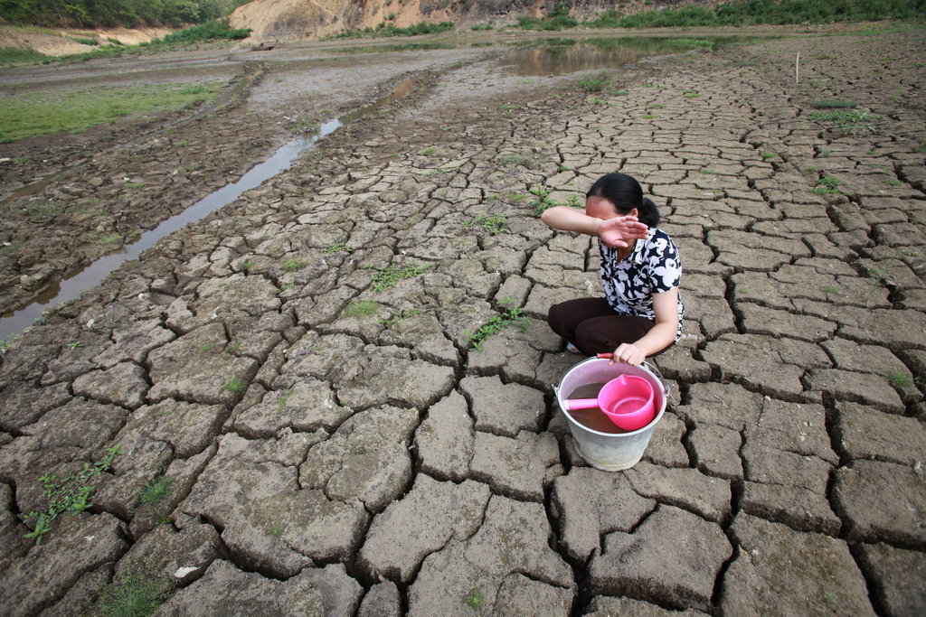 这几天,广西多个地方普降暴雨,但地处桂西的田林却依旧遭受干旱的煎熬