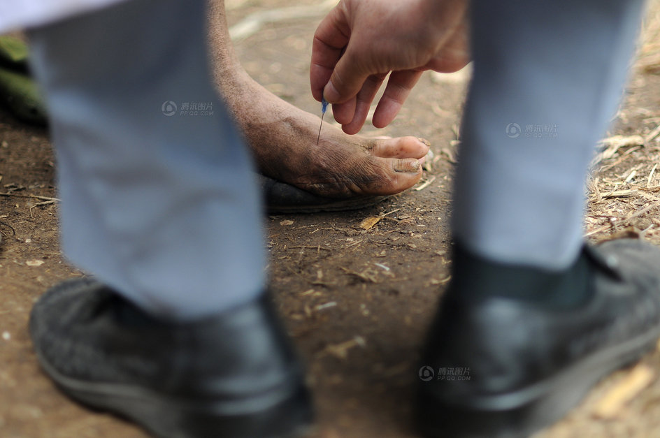 兄妹隐居深山20余年 <em>哥哥</em>失语<em>妹妹</em>双手如鸟爪