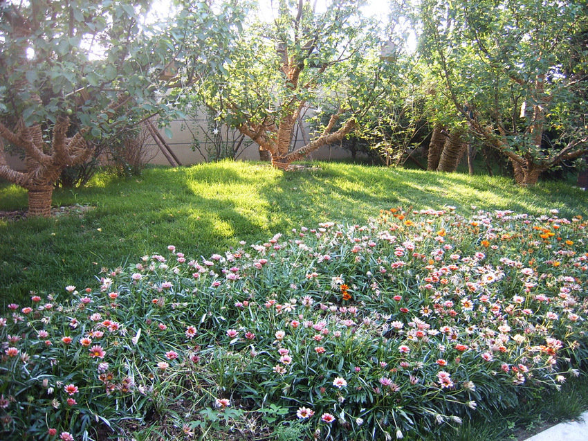 地产宝贝-龙湖·时代<em>天街</em> - 休闲<em>娱乐</em> 微兖州--兖