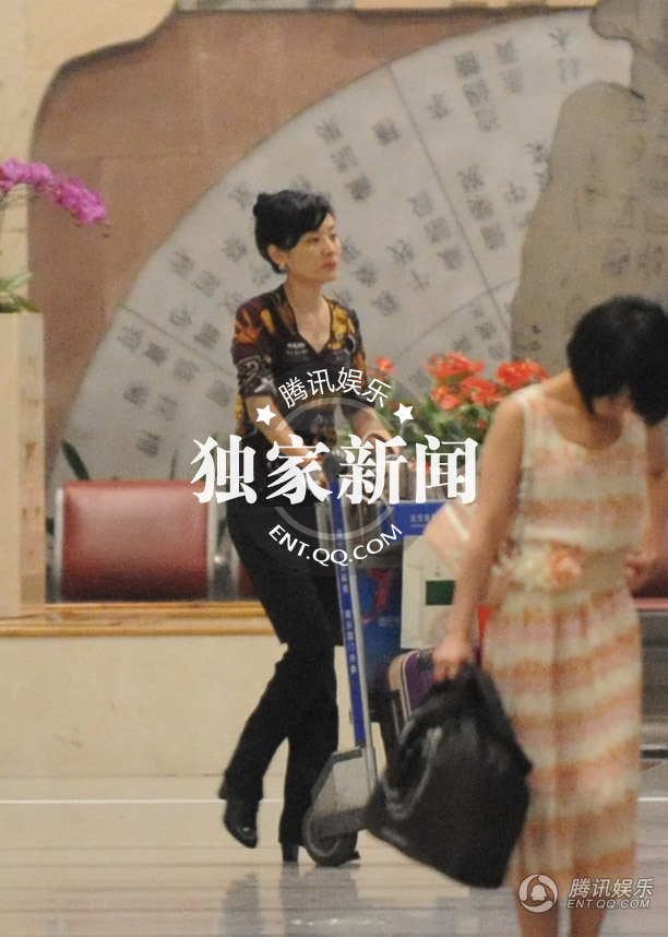 涛素颜独自回京 打扮似贵妇面色疲惫-行李车,鸡