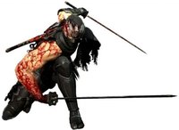 忍者龙剑传等,近日,日本伊贺流忍者博物馆的名