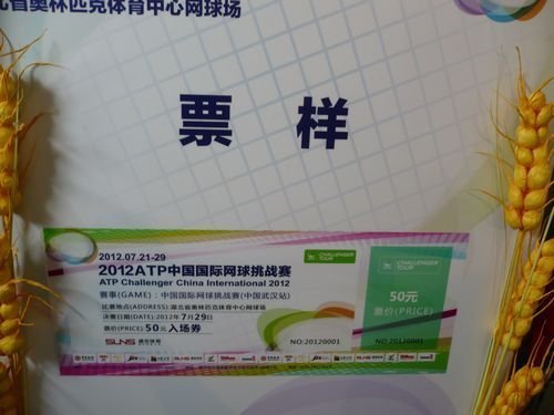 atp网球挑战赛7月底登陆武汉 总奖金达5万美元