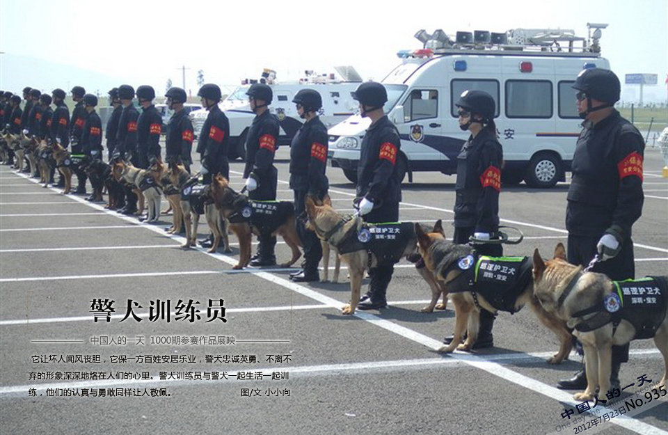 中国人一天1000期参赛作品:警犬训练员