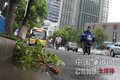 组图：台风“海葵”袭来 宁波网友现场直击