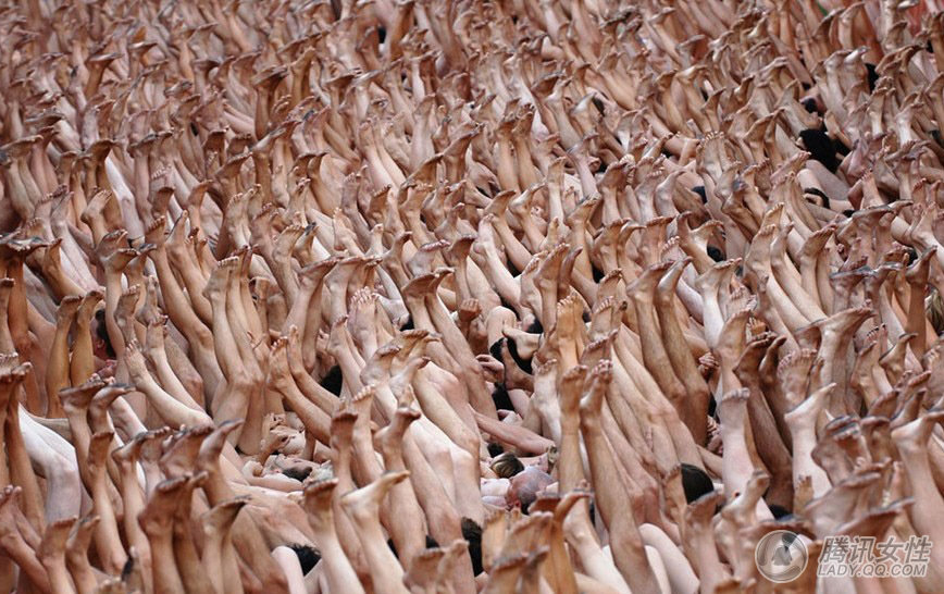 裸体艺术美感不再 密集恐惧症者慎入-燕赵都市