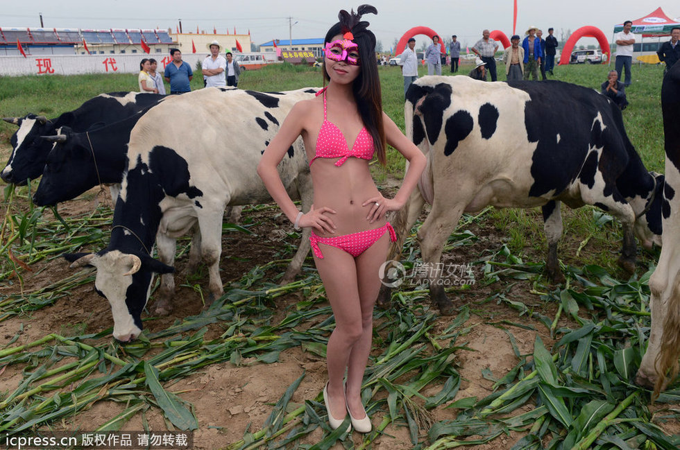 选美:山西奶牛小姐比基尼夺眼球-<em>香车美女</em>-资