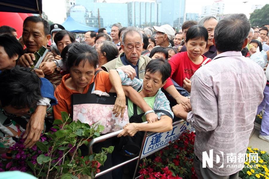广东江门免费发市花图片