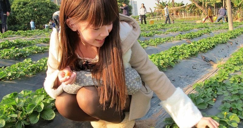 高清：郜林女友证件照曝光 曾送保时捷示爱图片