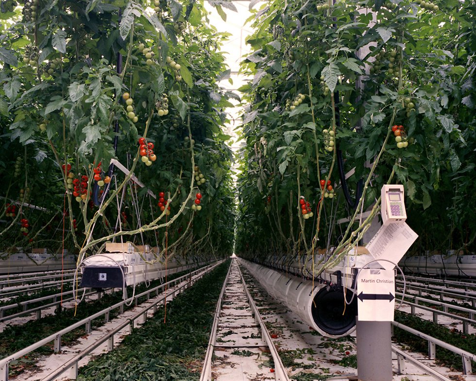 月球农场:高度工程化的自控温室图片