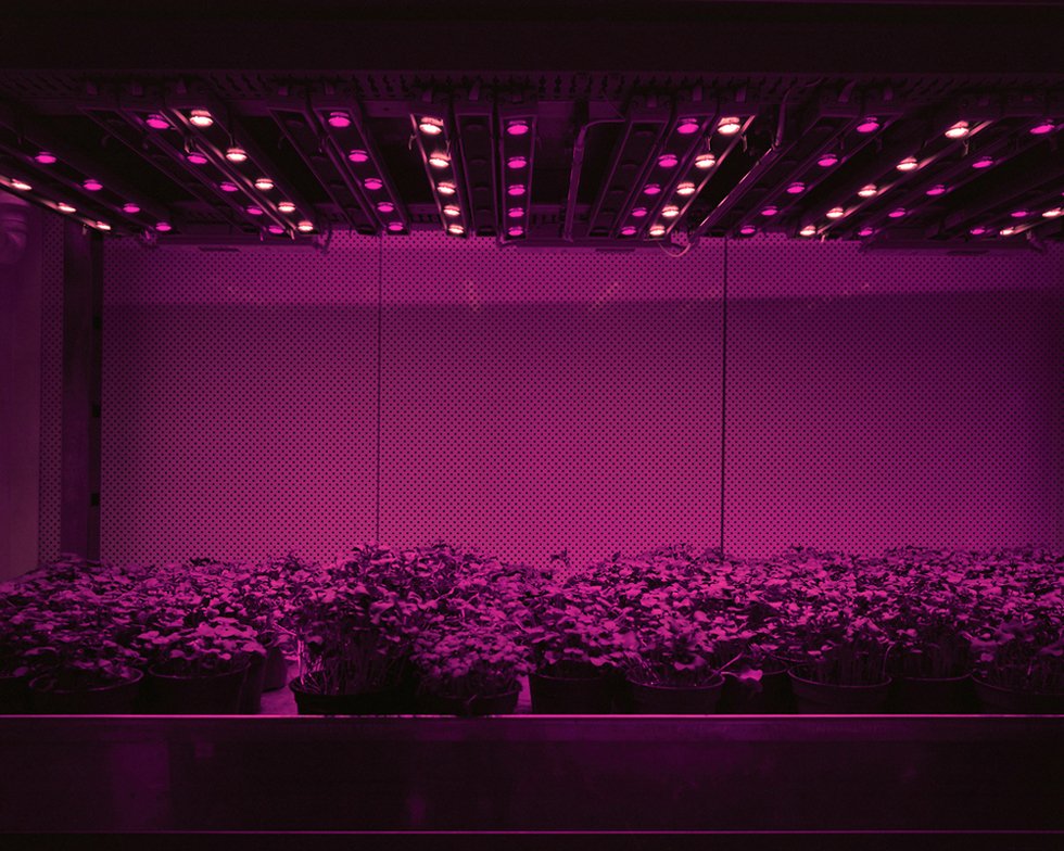 月球农场:高度工程化的自控温室图片