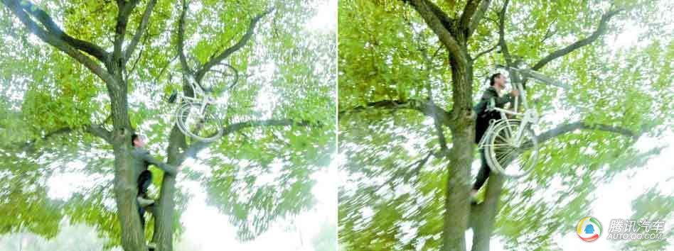 高清：车内放巨蟒 全球防盗怪招大比拼图片