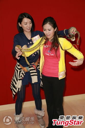 tvb女明星跳舞合集 5928543_640x640_0.jpg