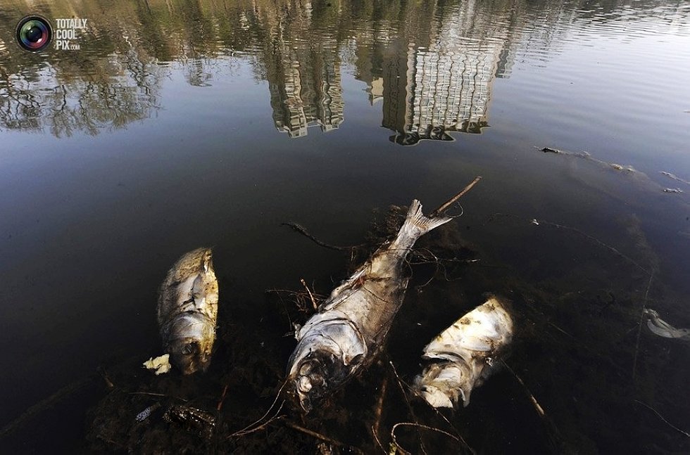 中国河流湖泊遭严重污染