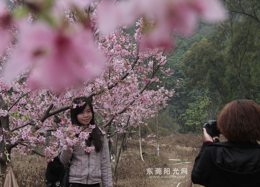 樱花的老总_樱花动漫(3)