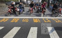 点击查看第8张图片