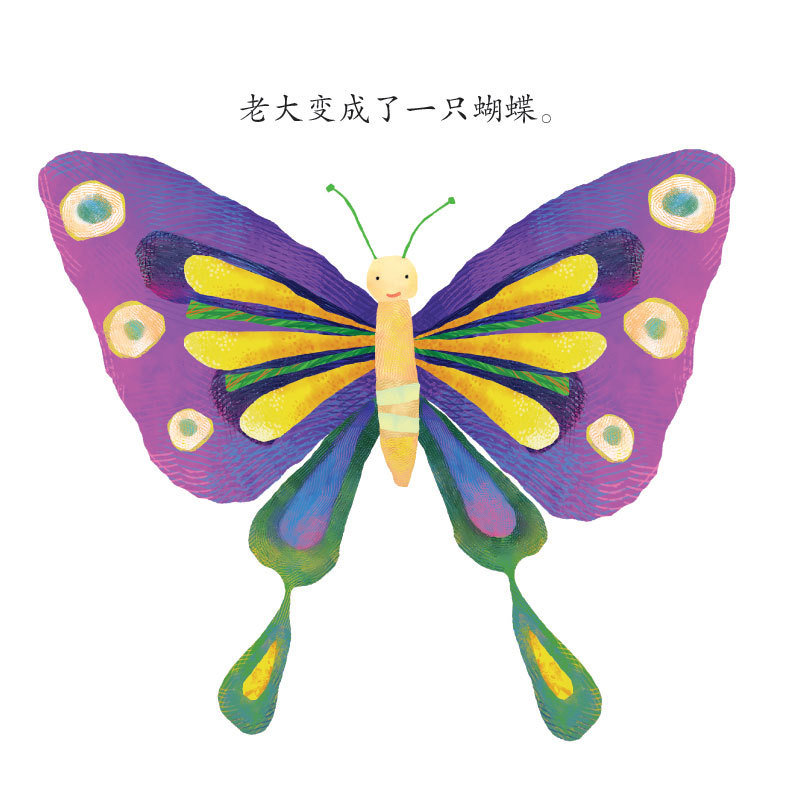 少儿精选漫画蝴蝶飞飞