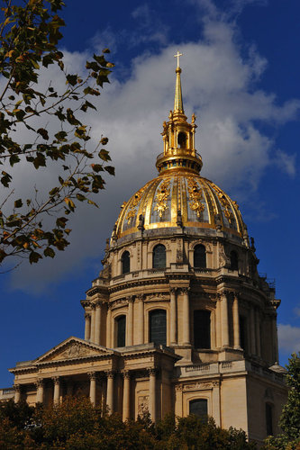 6132083_500x500_0.jpg