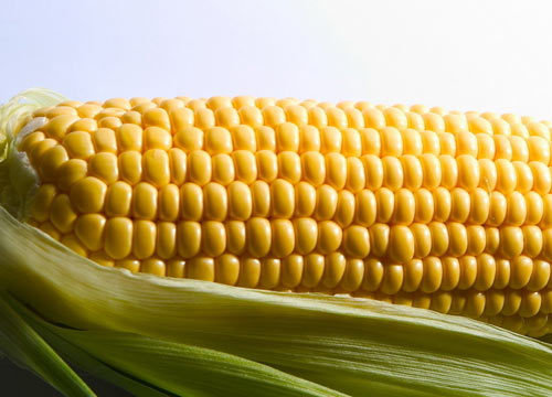6294392_1200x1000_0.jpg