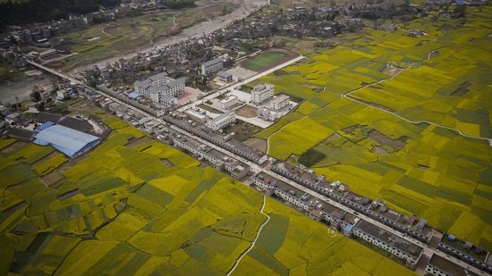 四川雅安人口数量_雅安的人口民族(3)