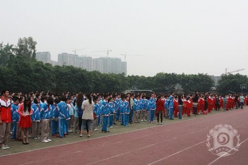 雅安地震_雅安地震捐款 人均