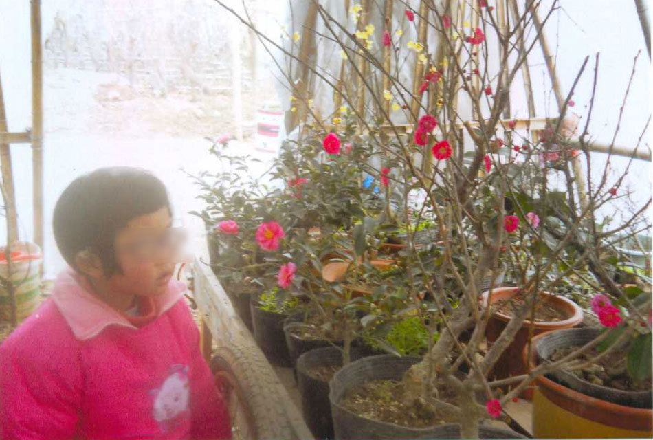 种花养花_种花的收入怎么样(2)