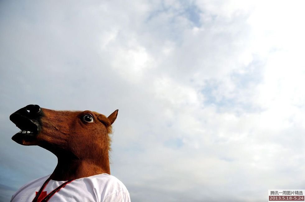 陈巨飞:安徽2013高考零分作文