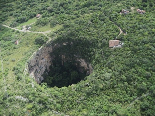 这个天坑有着"鹦鹉洞"之称,它最著名的就是栖息地在底部森林中的