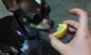  Dogs first taste lemon
