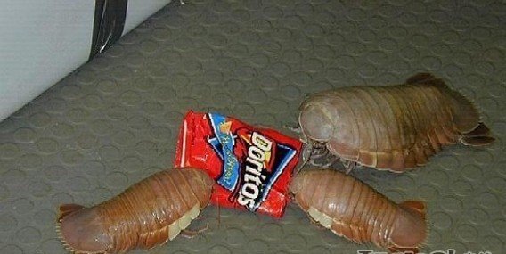 ͼƬ11