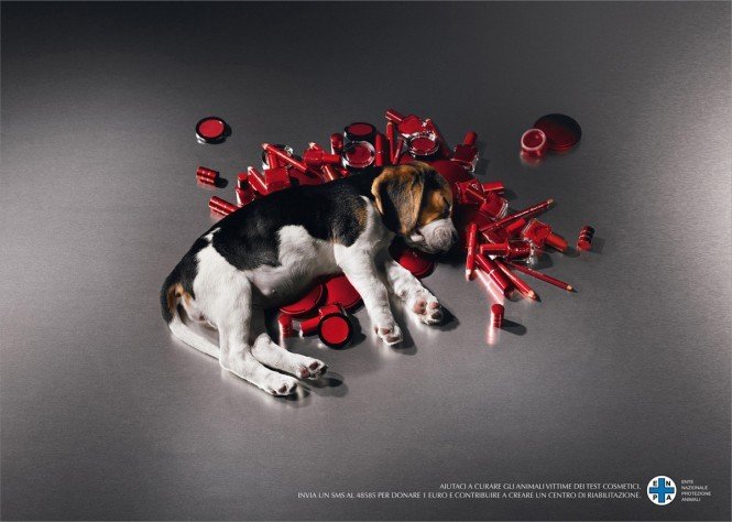 公益广告:拿什么拯救动物