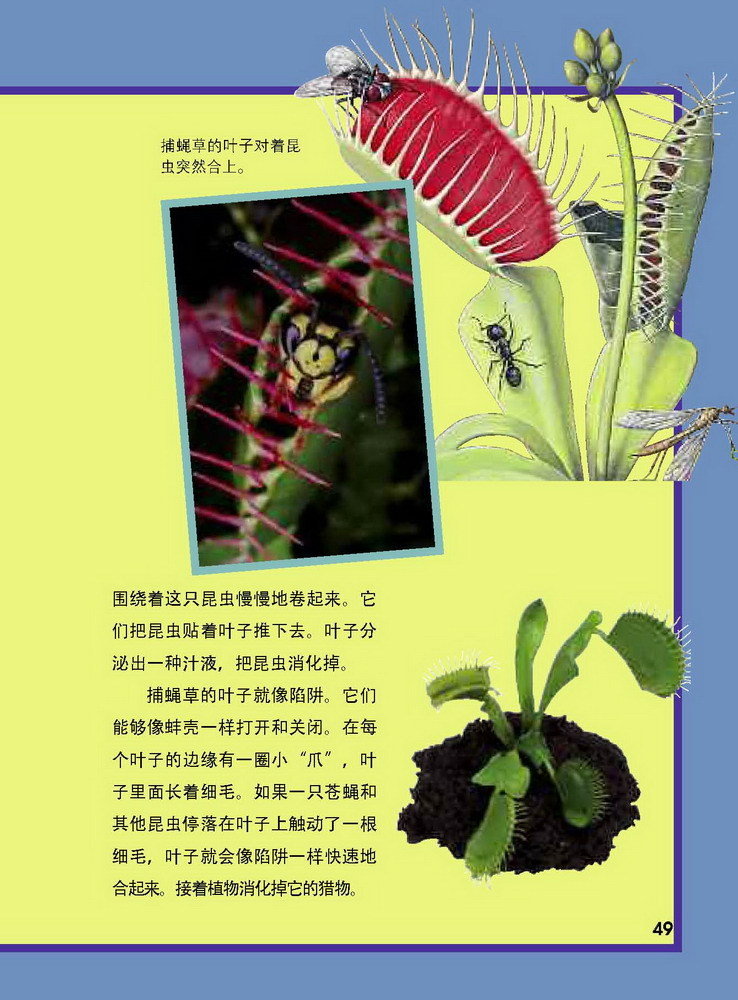 7205008_1200x1000_0.jpg