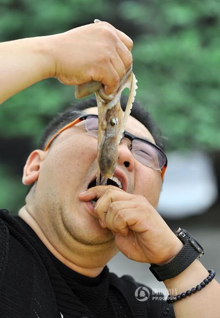 组图:韩国饮食节举办生吃鱿鱼比赛 生猛霸气