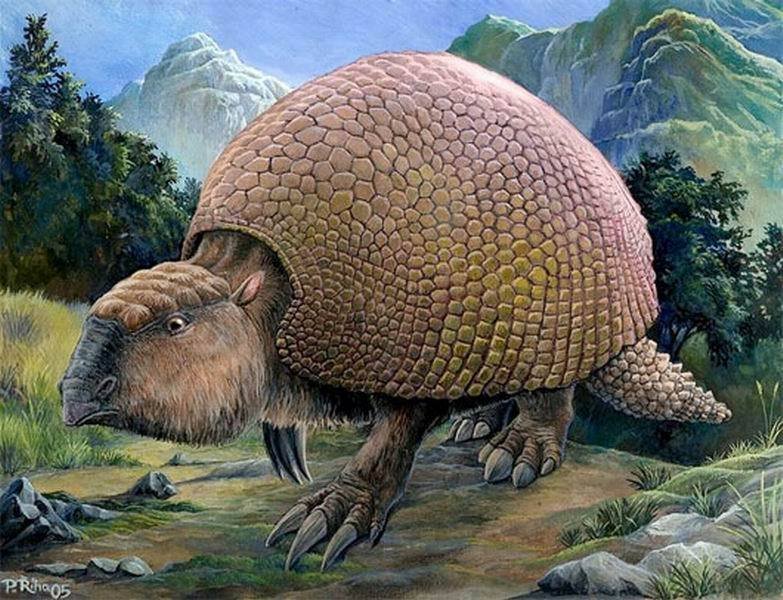 地球七大灭绝巨型动物:雕齿兽和阿根廷巨鸟