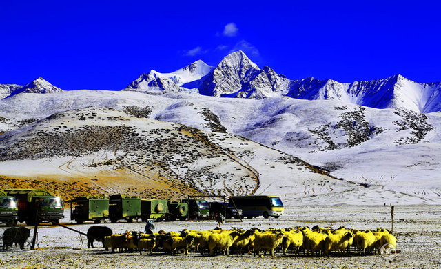 鍏跺瓧涓婇潰鍔犱竴鎾囩_跺跺脚图片(2)