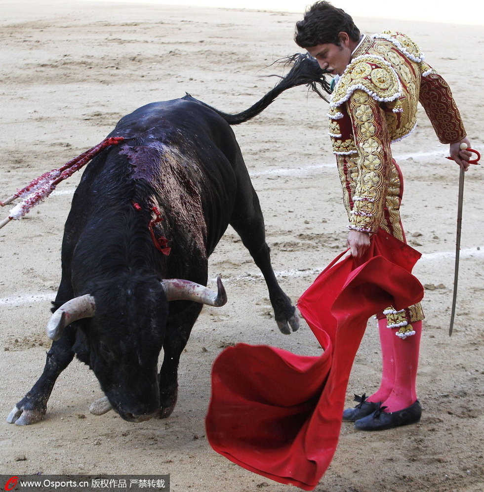 高清:西班牙斗牛节 悲催斗牛士险被爆菊-西班