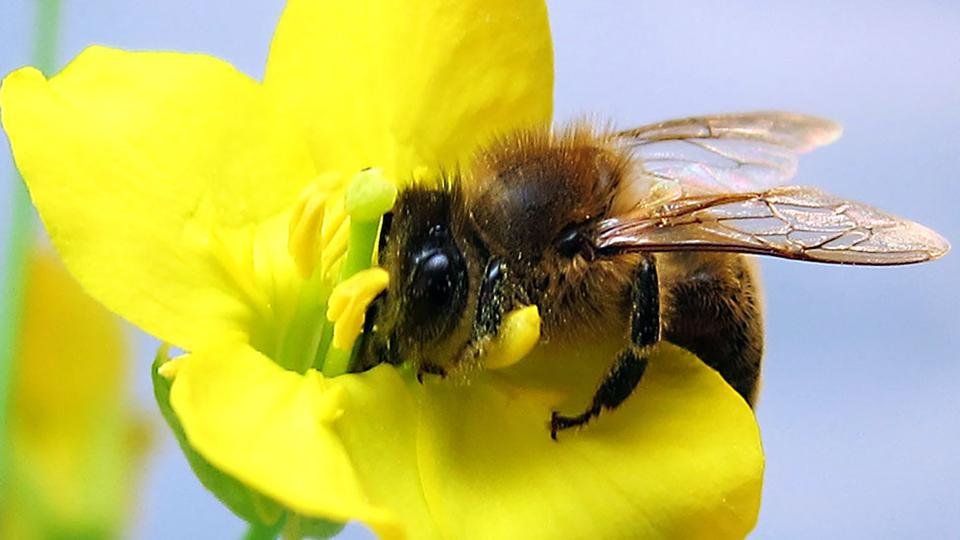 7625925_980x1200_0.jpg