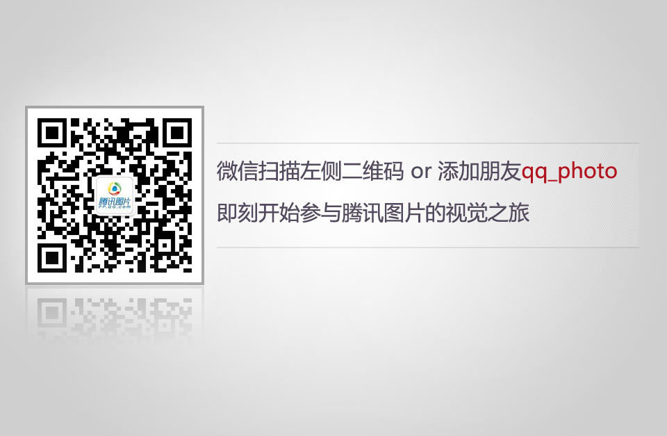 7737322_980x1200_0.jpg