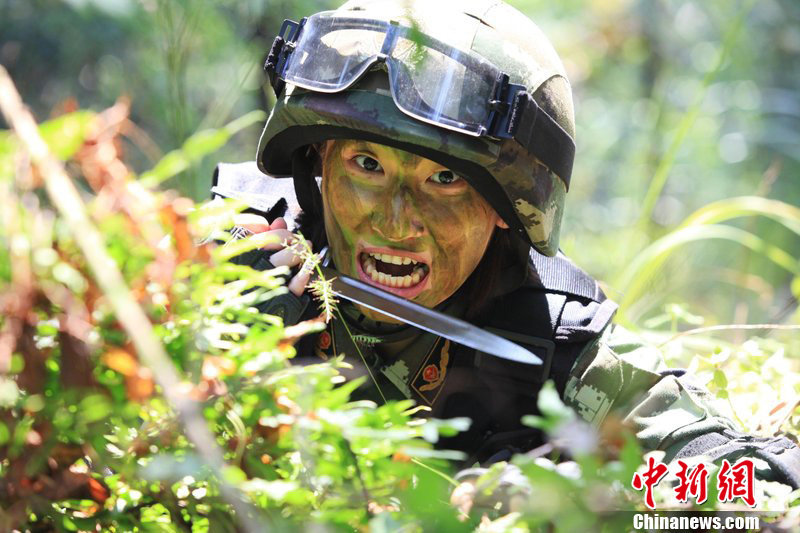 驻深圳武警女兵大练兵 咬钢刀在林中反恐 - 军中之花 - 军中之花博客 驻深圳武警女兵大练兵 咬钢刀在林中反恐 - 军中之花 - 军中之花博客