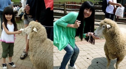 <em>台湾双胞胎姐妹</em>花<em>近照</em>曝光 气质清新甜美 - 自