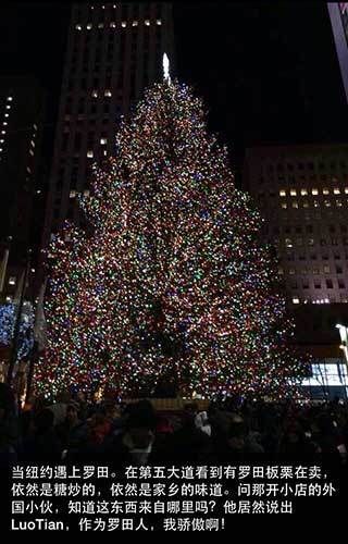 美国纽约惊现罗田板栗 湖北首富阎志晒图称骄