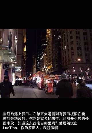 美国纽约惊现罗田板栗 湖北首富阎志晒图称骄