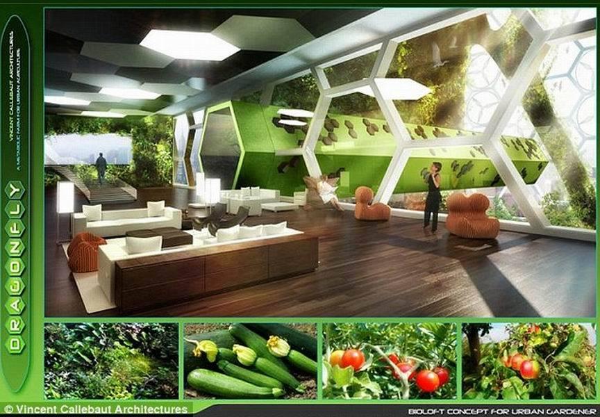 未来大厦型植物农场