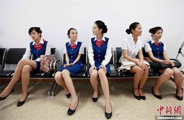 水果有多少图片大全_空姐的收入有多少