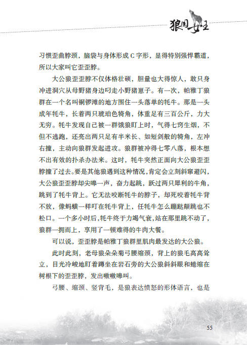 沈石溪动物小说感悟生命书系·狼国女王