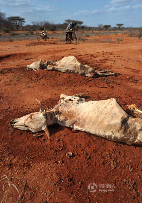 世界防治荒漠化和干旱日:正在消失的土地